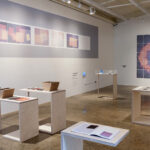 Amanda Marchand, Photographer + Artist Advisor (USA + Canada)