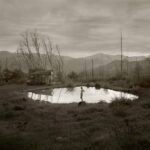 Jock Sturges, Photographer (USA + France)