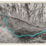 Regina Maria Anzenberger, Artist + Gallerist, Anzenberger Gallery (Austria)