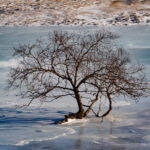 Chris Marquardt, Photographer + Podcaster, Tips from the Top Floor (Germany)
