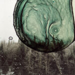 Amanda Marchand, Photographer + Artist Advisor (USA + Canada)