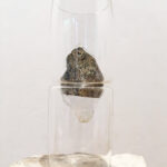 Anna Mlasowsky – Conceptual Artist who loves glass (USA + Germany)