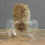 Anna Mlasowsky – Conceptual Artist who loves glass (USA + Germany)