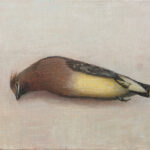 Scott Sullivan, Art Collector (USA)