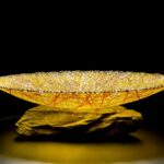 Cathryn Shilling, Glass Artist + Curator (UK)