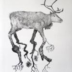 Tanja Thorjussen, Collaborative Artist, Curator + Art Consultant (Norway)