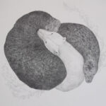 Tanja Thorjussen, Collaborative Artist, Curator + Art Consultant (Norway)