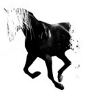 Tim Jones, Graphic Designer + Multi Media Artist (USA)