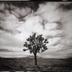 Michael Kirchoff, Photographer + Advocate of the Photographic Arts (USA)