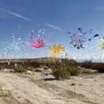 Nancy Baker Cahill, New Media Artist (USA)