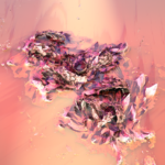 Nancy Baker Cahill, New Media Artist (USA)