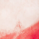 Elinor Carucci, Photographer (USA)
