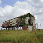 Tema Stauffer, Photographer, Professor, + Curator (USA)