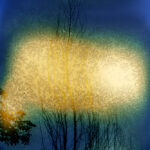 Blue Mitchell, Publisher + Photographer, one twelve publishing (USA)