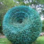 Steve Tobin, Sculptor + Visual Philosopher (USA)