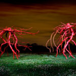 Steve Tobin, Sculptor + Visual Philosopher (USA)