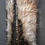 Shayna Leib, Glass + Multimedia Artist (USA)