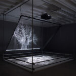 Mat Collishaw, Multi-Disciplinary Artist (UK)