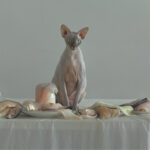 Evelyn Bencicova, Photographer (Slovakia + Germany)